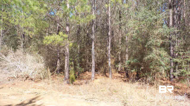 42 Ten Mile Road Pensacola, FL 32534 - Photo 26 of 32 Gallery Image 26