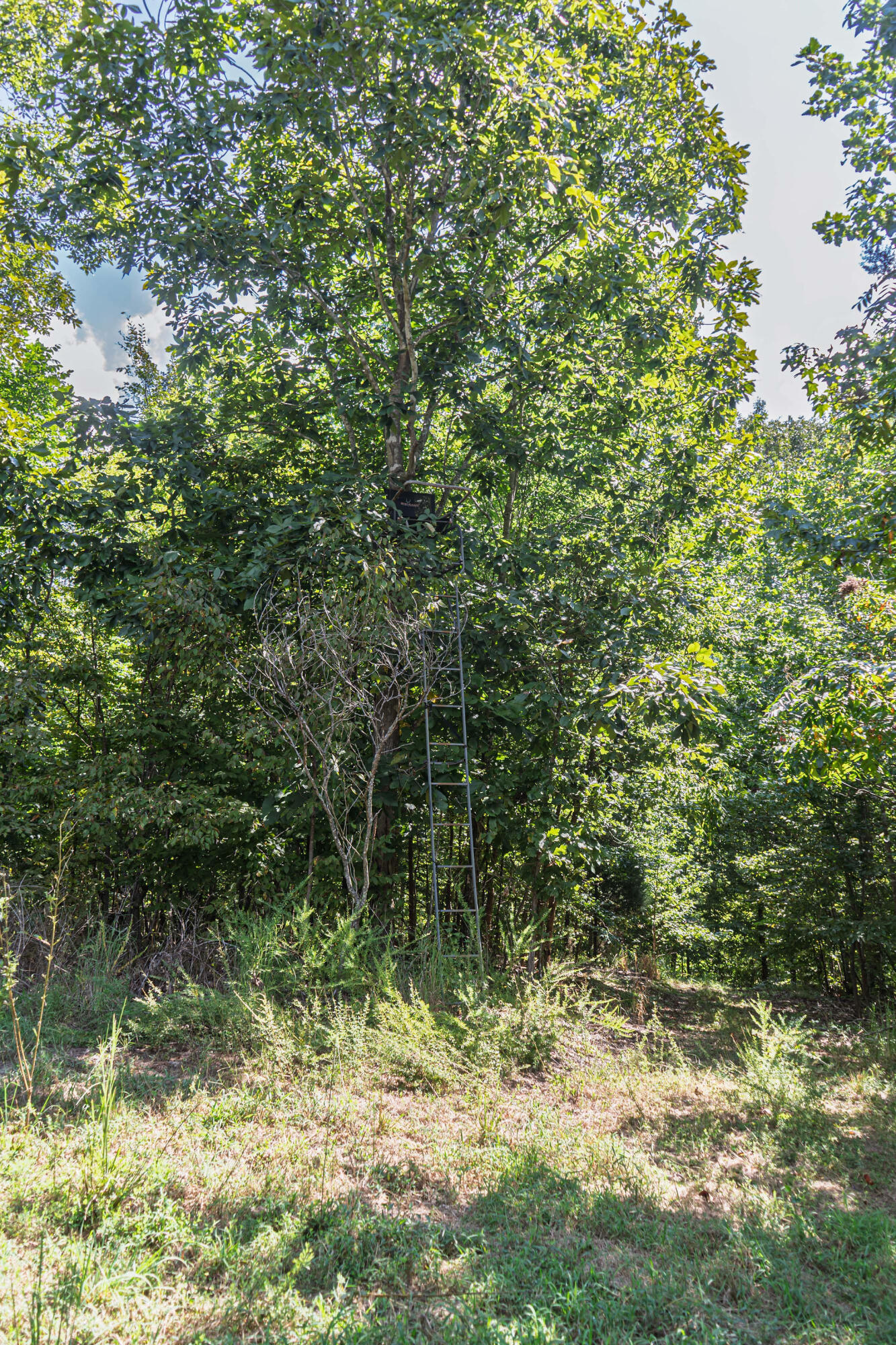 6861 Rockcastle Road Cadiz, KY 42211 - Photo 44 of 75 6861Rockcastle-120