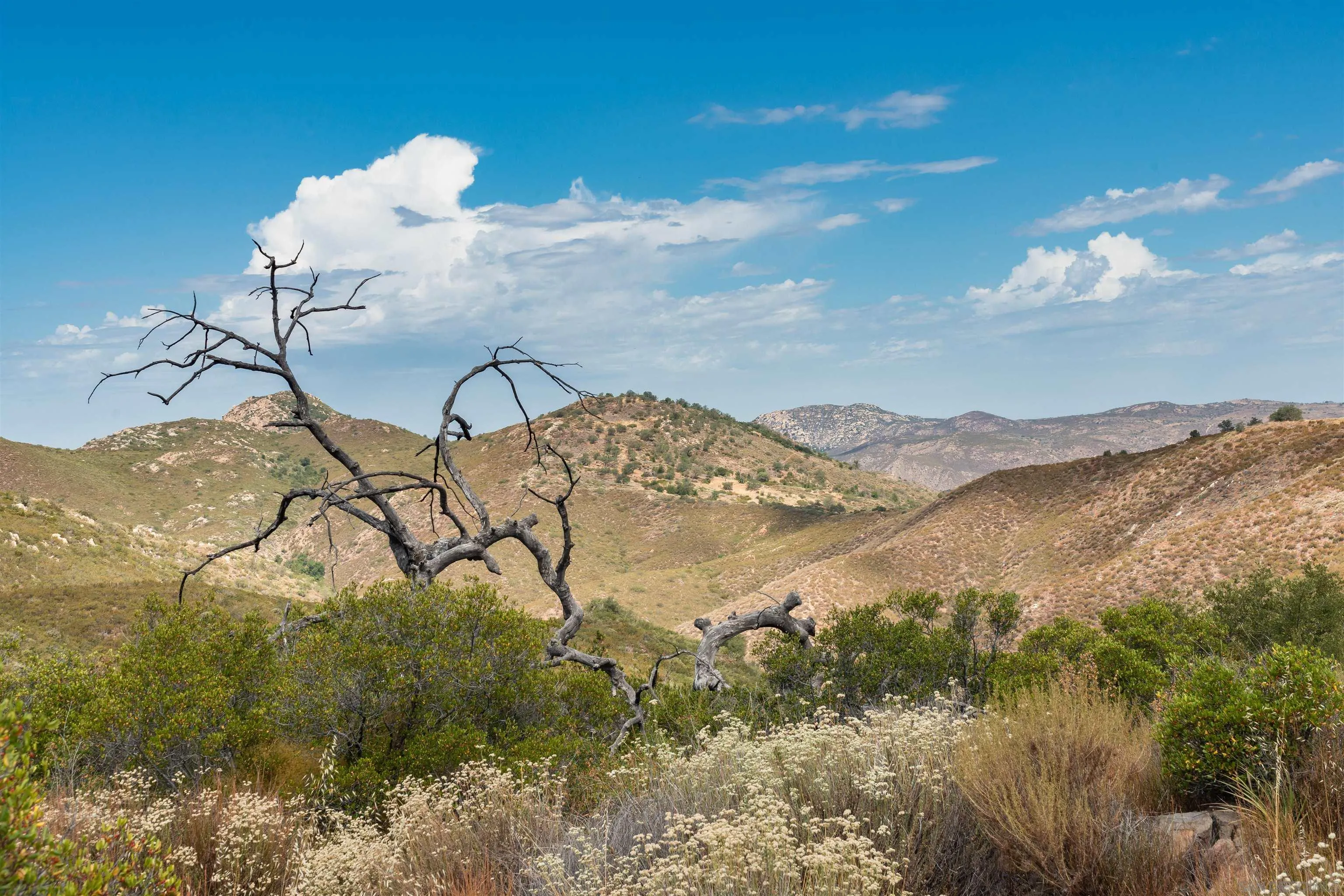 Boulder Creek Road Julian, CA 92036 - Photo 13 of 23 a view of a backyard of a house with a mountain