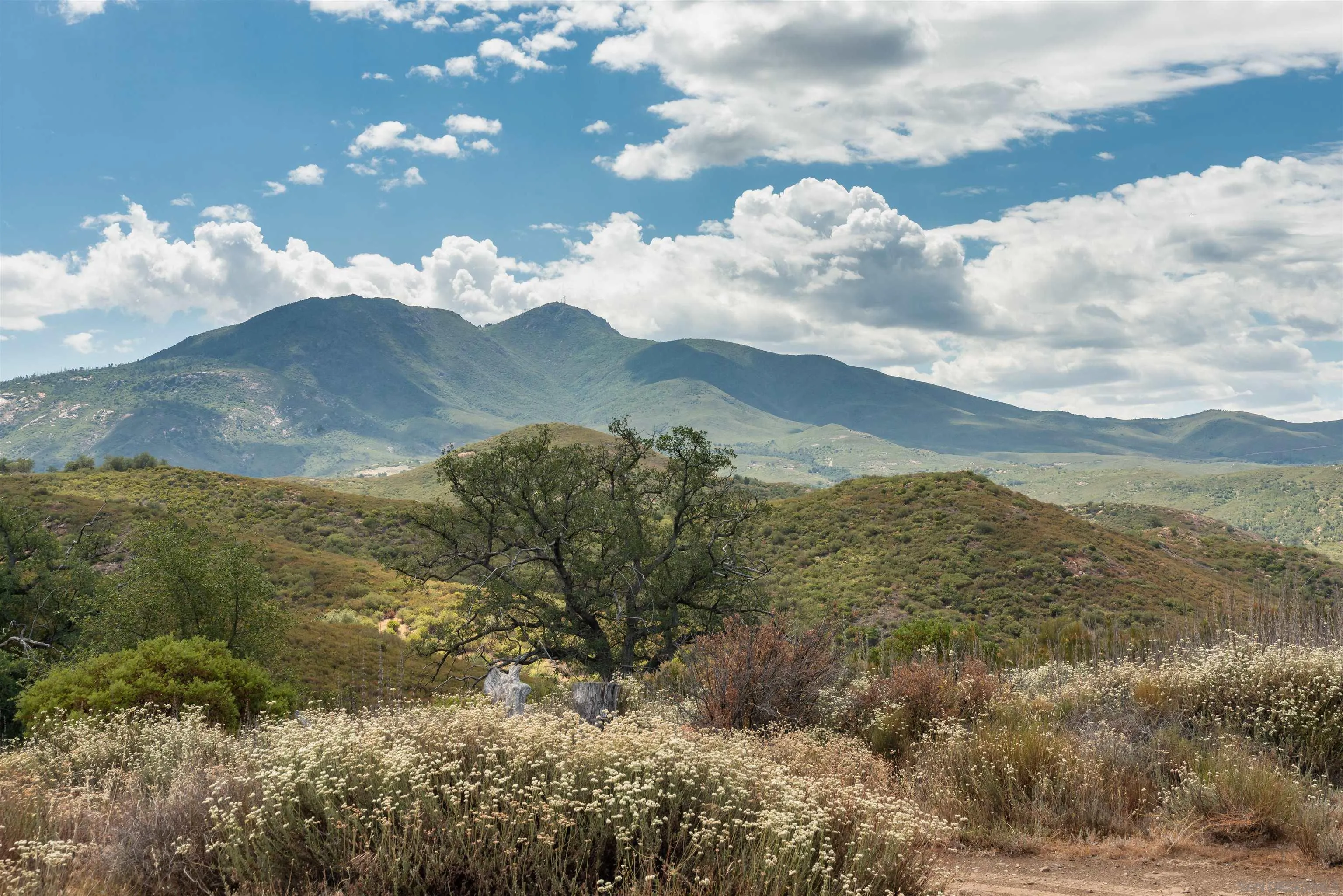 Boulder Creek Road Julian, CA 92036 - Photo 14 of 23 a view of a dry yard with trees