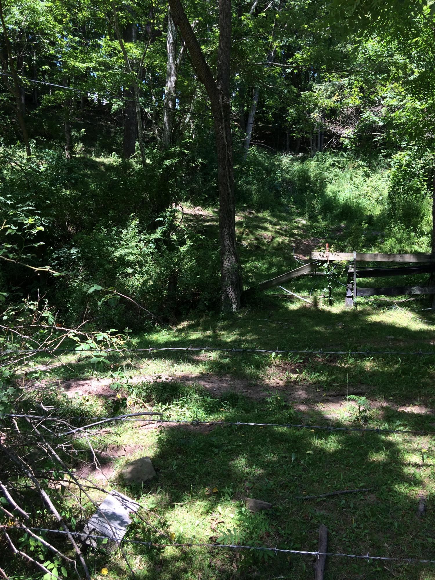 3655 1/2 Cornstalk Road Crawley, WV 24931 - Photo 25 of 43 Gallery Image 25