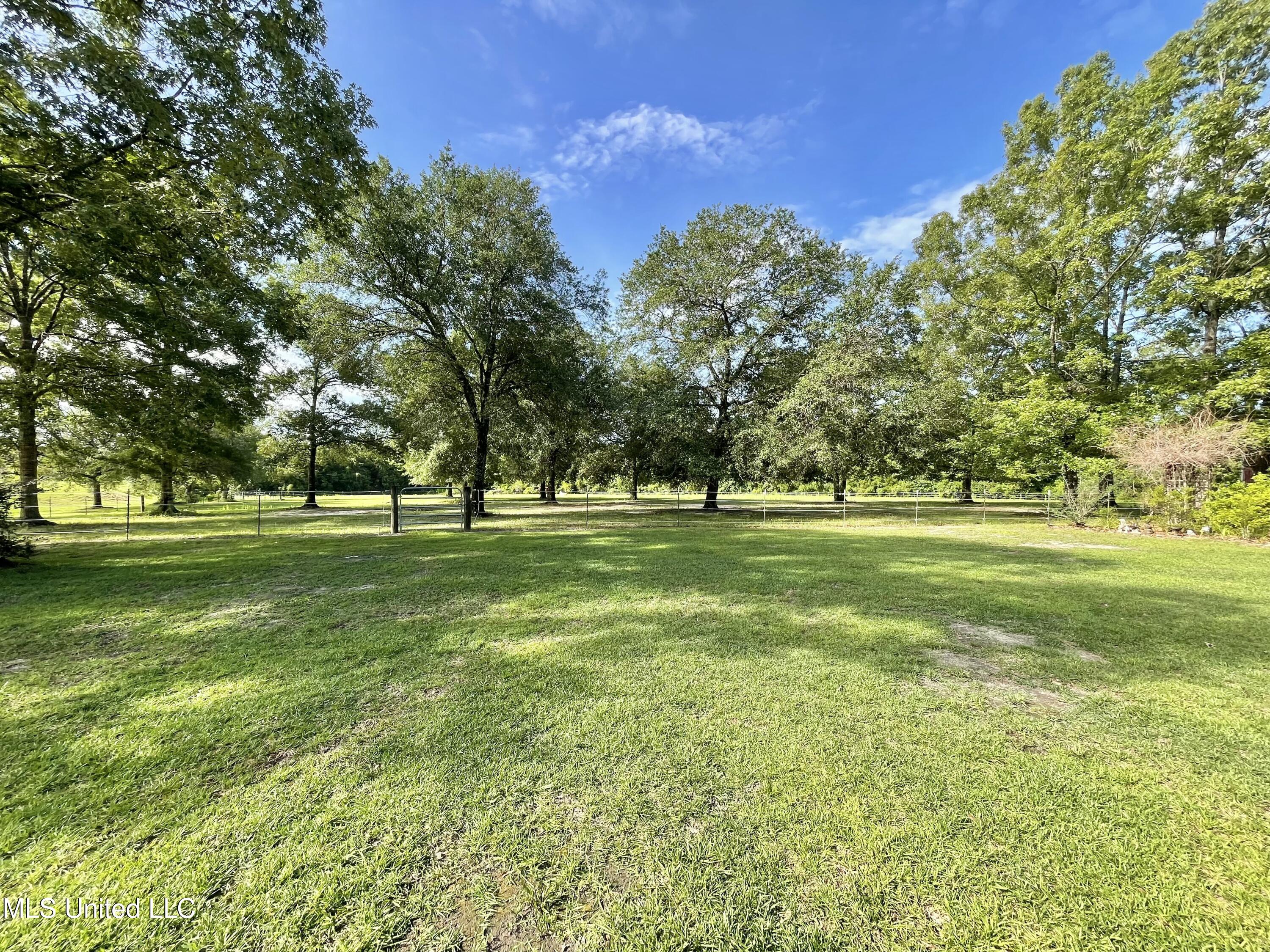 24000 Robert E Lee Road Lucedale, MS 39452 - Photo 31 of 62 IMG_7648