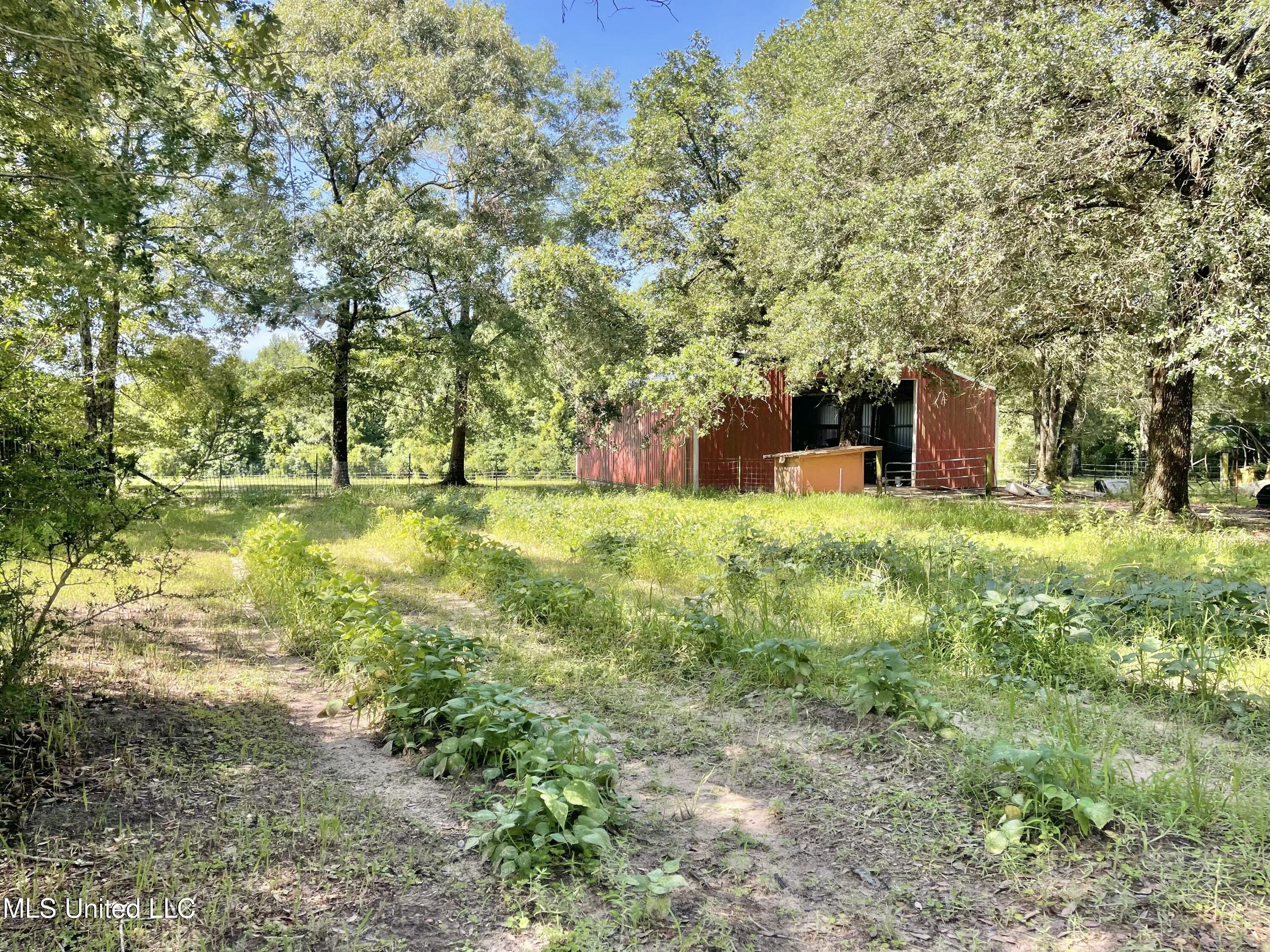 24000 Robert E Lee Road Lucedale, MS 39452 - Photo 35 of 62 IMG_7742