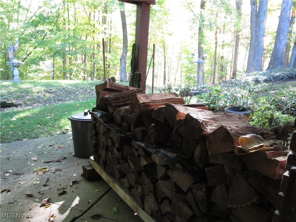 3272 East Smith Road Medina, OH 44256 - Photo 30 of 34 Firewood and patio out the basement/LL room.