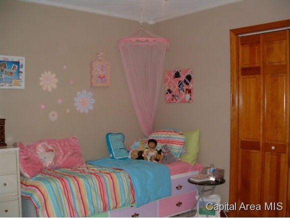 11382 Timber View Lane Athens, IL 62613 - Photo 11 of 20 Gallery Image 11