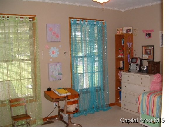 11382 Timber View Lane Athens, IL 62613 - Photo 12 of 20 Gallery Image 12