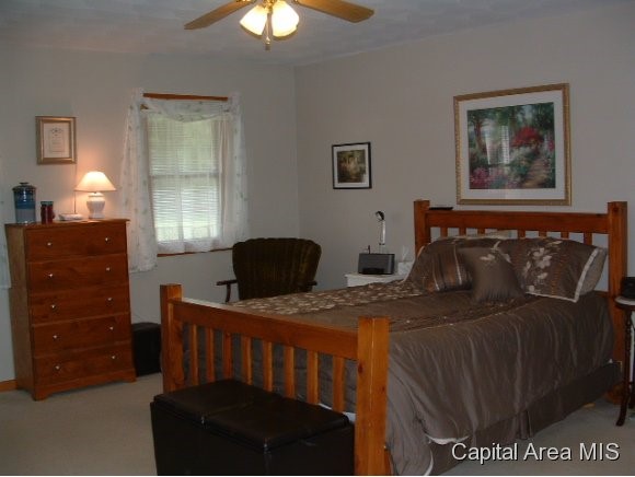 11382 Timber View Lane Athens, IL 62613 - Photo 6 of 20 Gallery Image 6