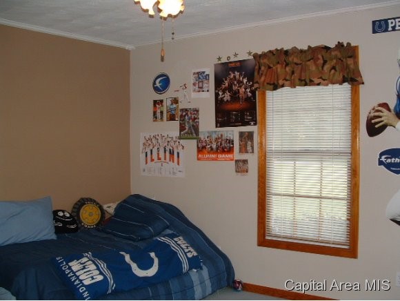 11382 Timber View Lane Athens, IL 62613 - Photo 10 of 20 Gallery Image 10