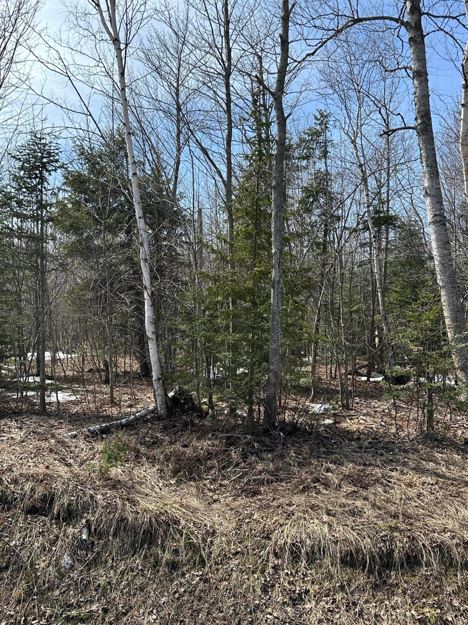 10170 North Whitefish Point Road Paradise, MI 49768 - Photo 25 of 26 Gallery Image 25