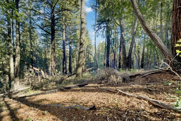 $65,000 | 0 Western, Boulder Creek, CA 95007