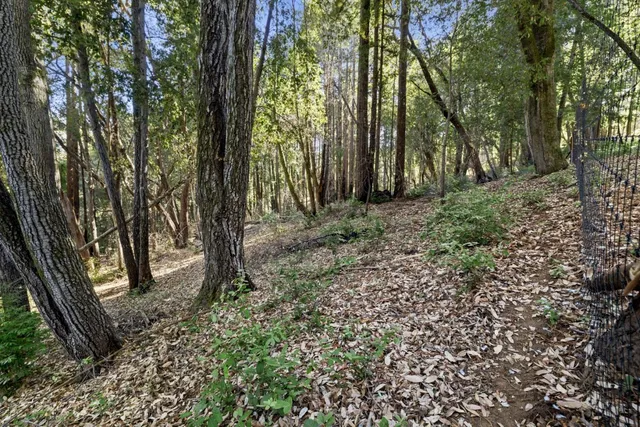a backyard of a house with lots of green space
