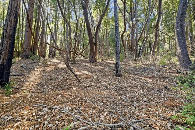 a view of outdoor space with trees