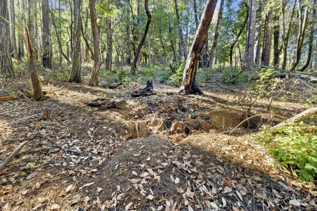 a view of a backyard of the house