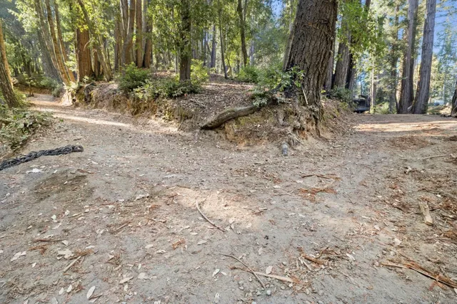 a view of a backyard with large trees