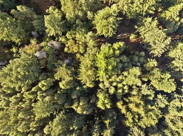 $65,000 | 0 Western, Boulder Creek, CA 95007