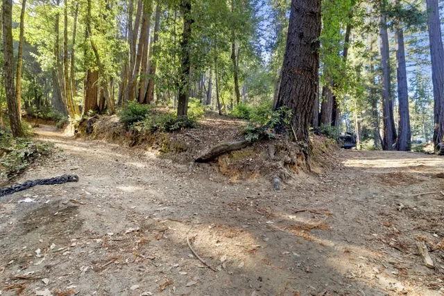 a backyard of a house with lots of green space