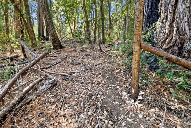 a backyard of a house with lots of green space