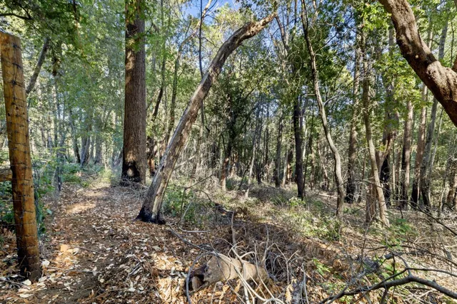 a backyard of a house with lots of plants and seating