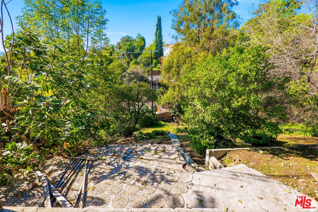 1969 Heidleman Road Los Angeles, CA 90032 - Photo 16 of 18 a view of a large yard with plants and large trees