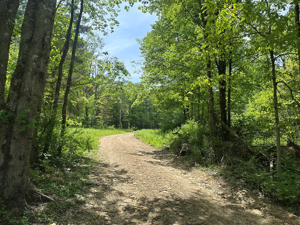 1843 Golf Course Road Cranberry, PA 16319 - Photo 25 of 29 Driveway, Driveway