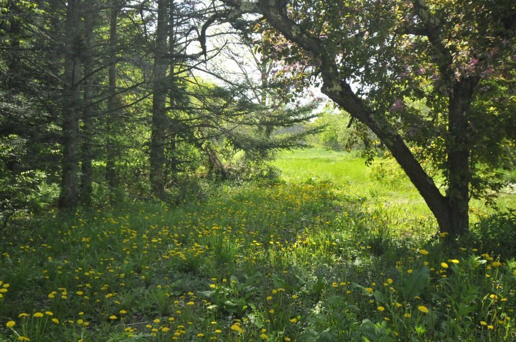 248 Main Road South Hampden, ME 04444 - Photo 27 of 30 Photo