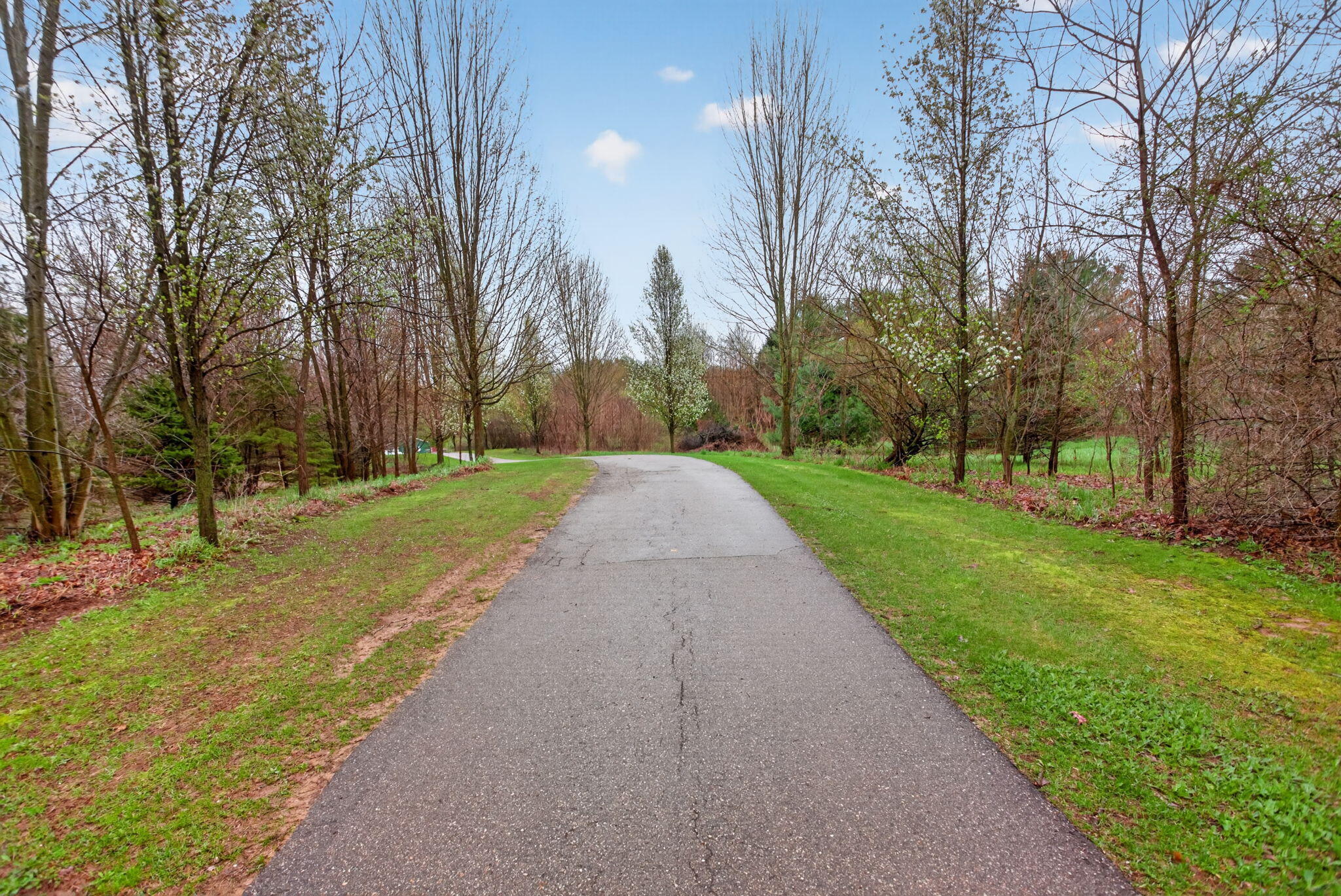 5895 Rogers Road Parma, MI 49269 - Photo 44 of 48 1-web-or-mls-0N0A2392