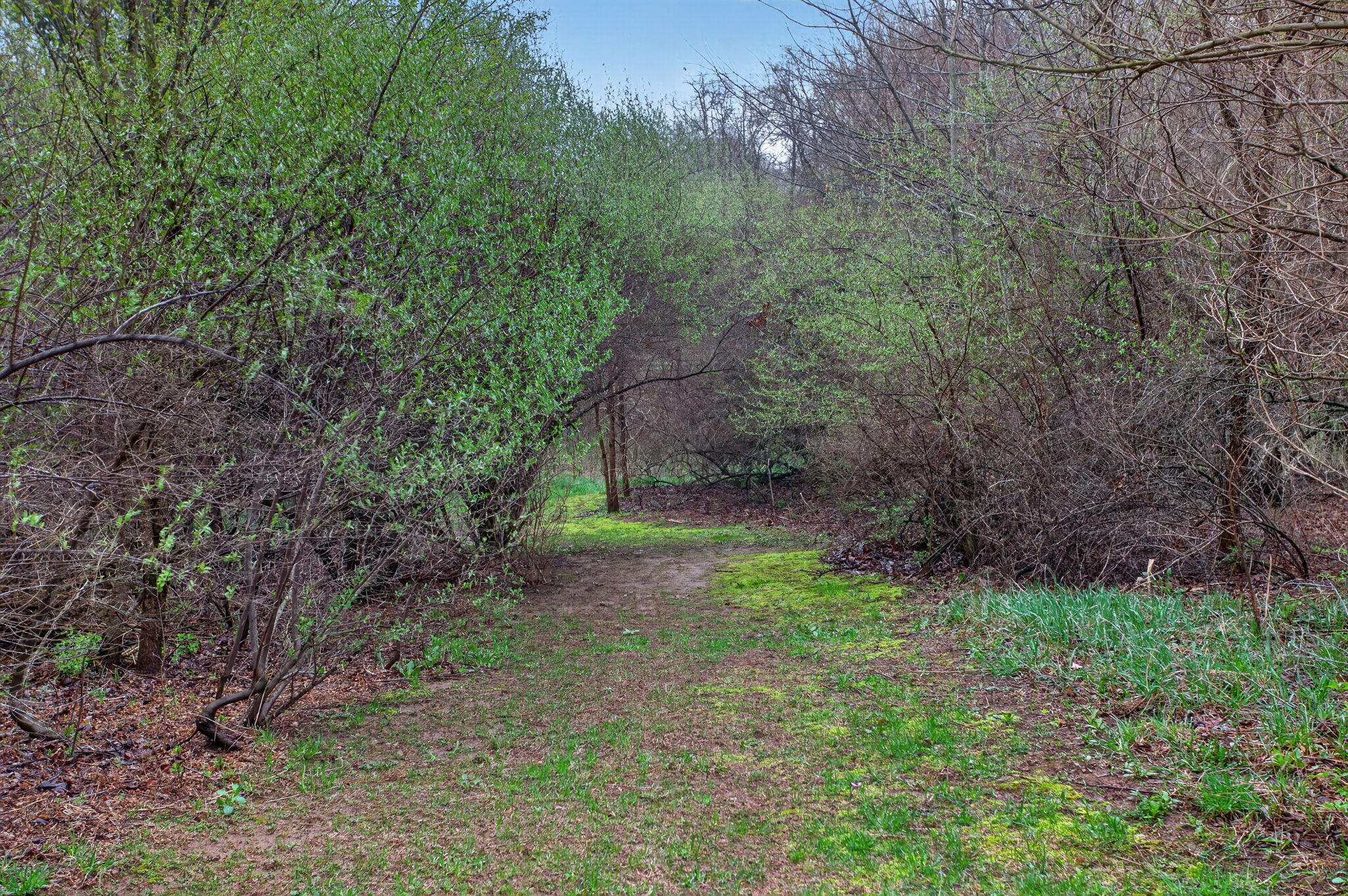 5895 Rogers Road Parma, MI 49269 - Photo 46 of 48 61-web-or-mls-0N0A2570