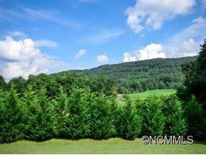 18 Manious Road Arden, NC 28704 - Photo 20 of 24 Gallery Image 20