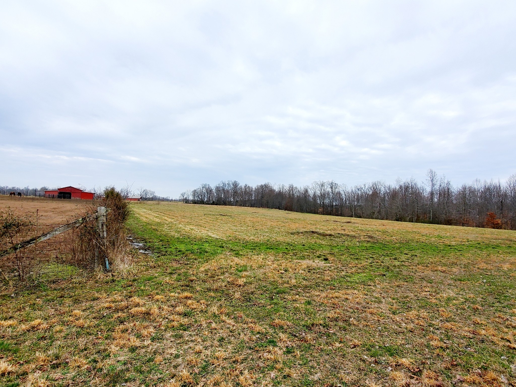 0 Nash Road Baxter, TN 38544 - Photo 2 of 32