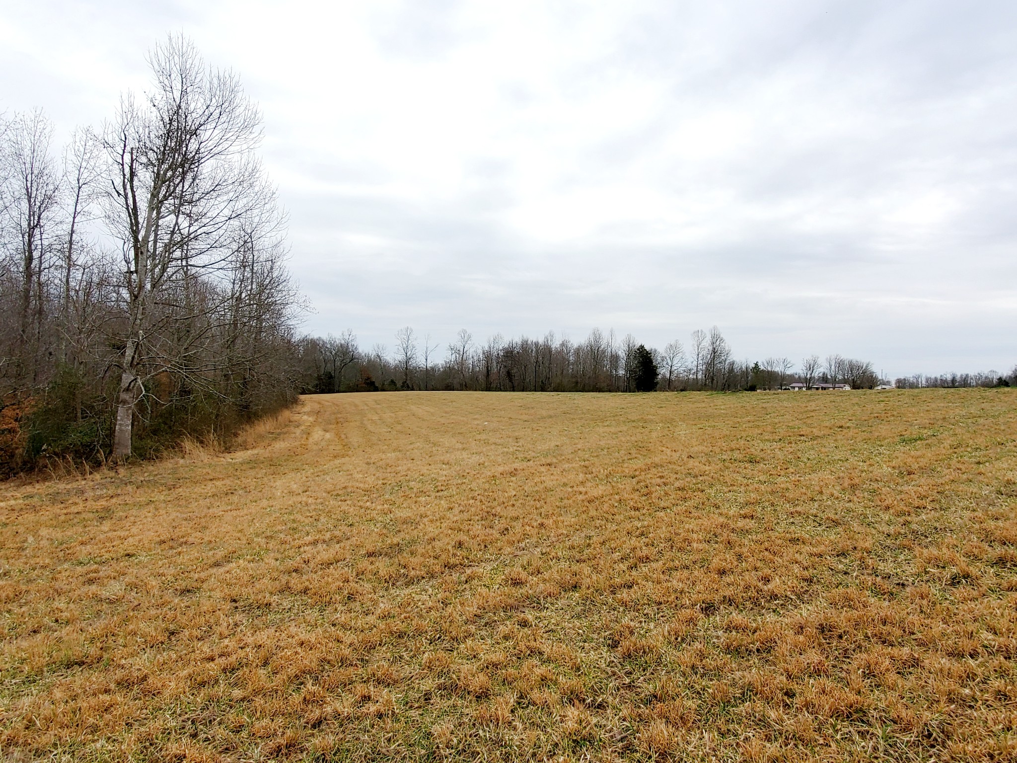 0 Nash Road Baxter, TN 38544 - Photo 11 of 32