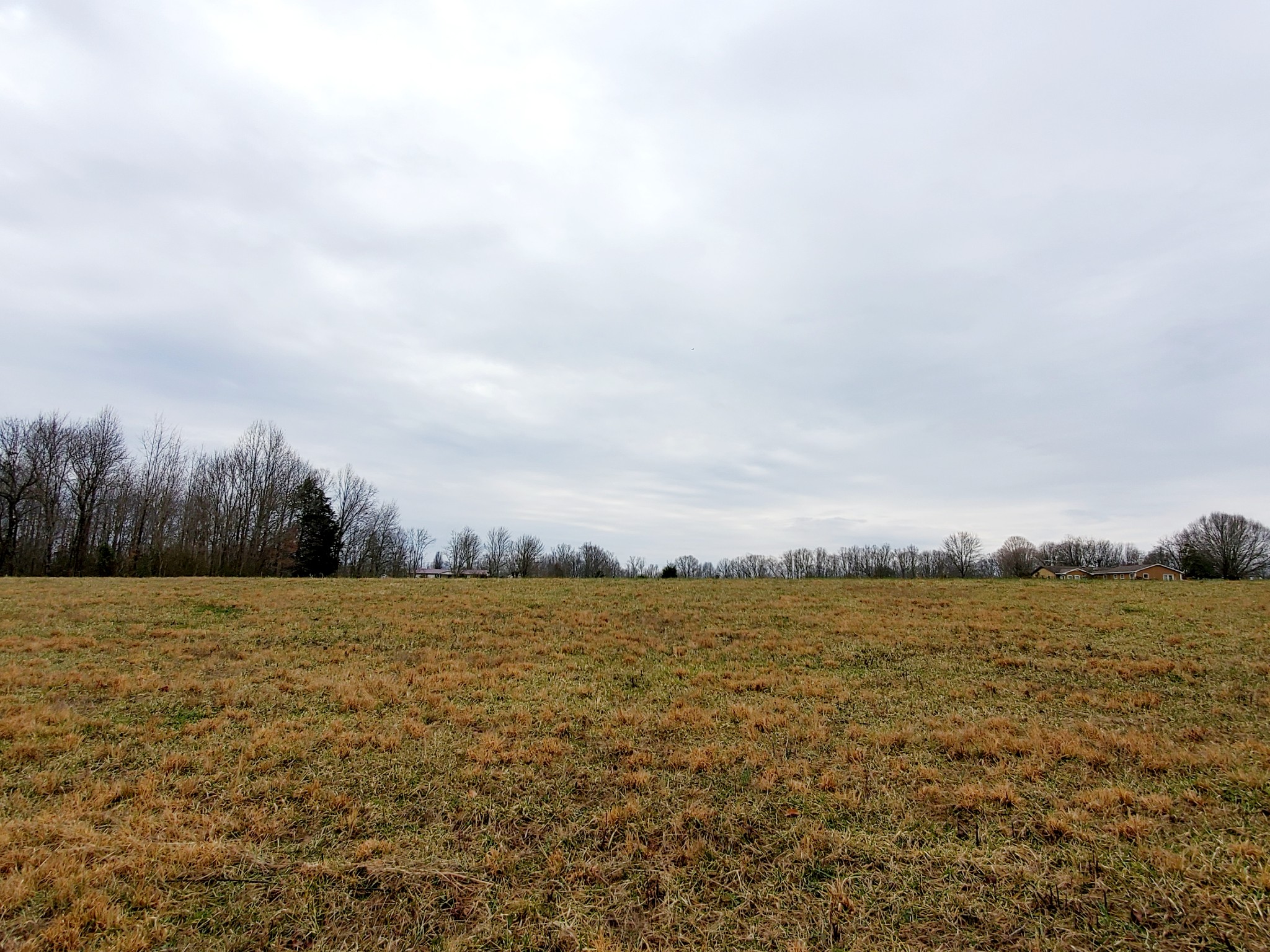 0 Nash Road Baxter, TN 38544 - Photo 16 of 32