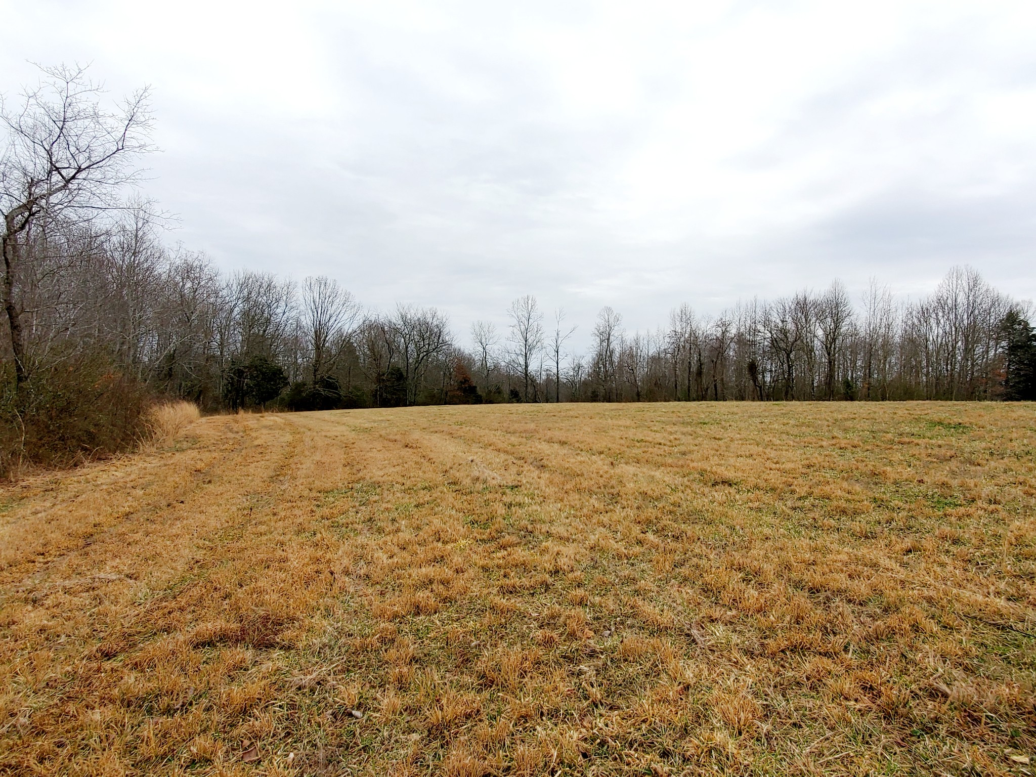 0 Nash Road Baxter, TN 38544 - Photo 17 of 32