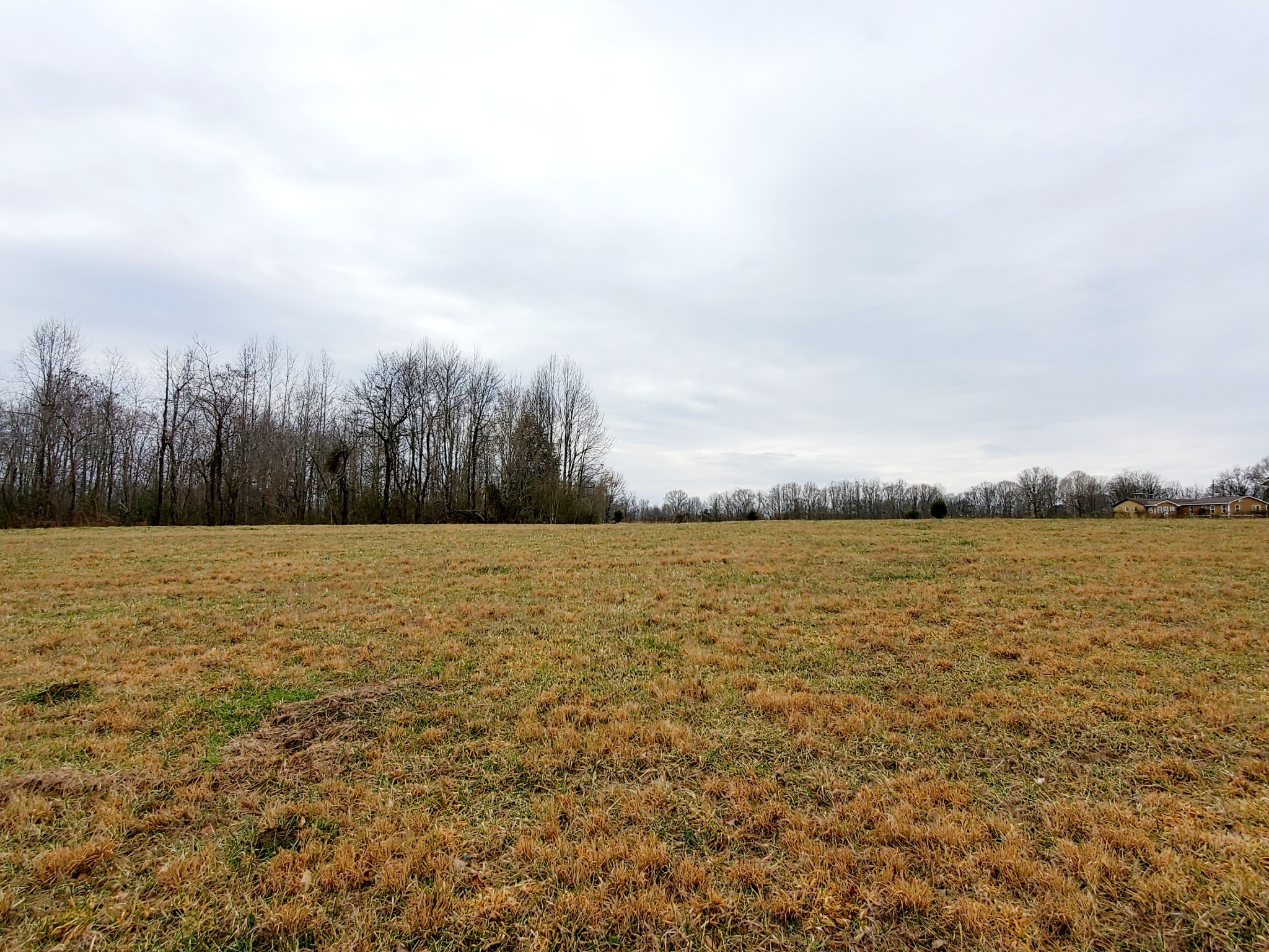 0 Nash Road Baxter, TN 38544 - Photo 18 of 32