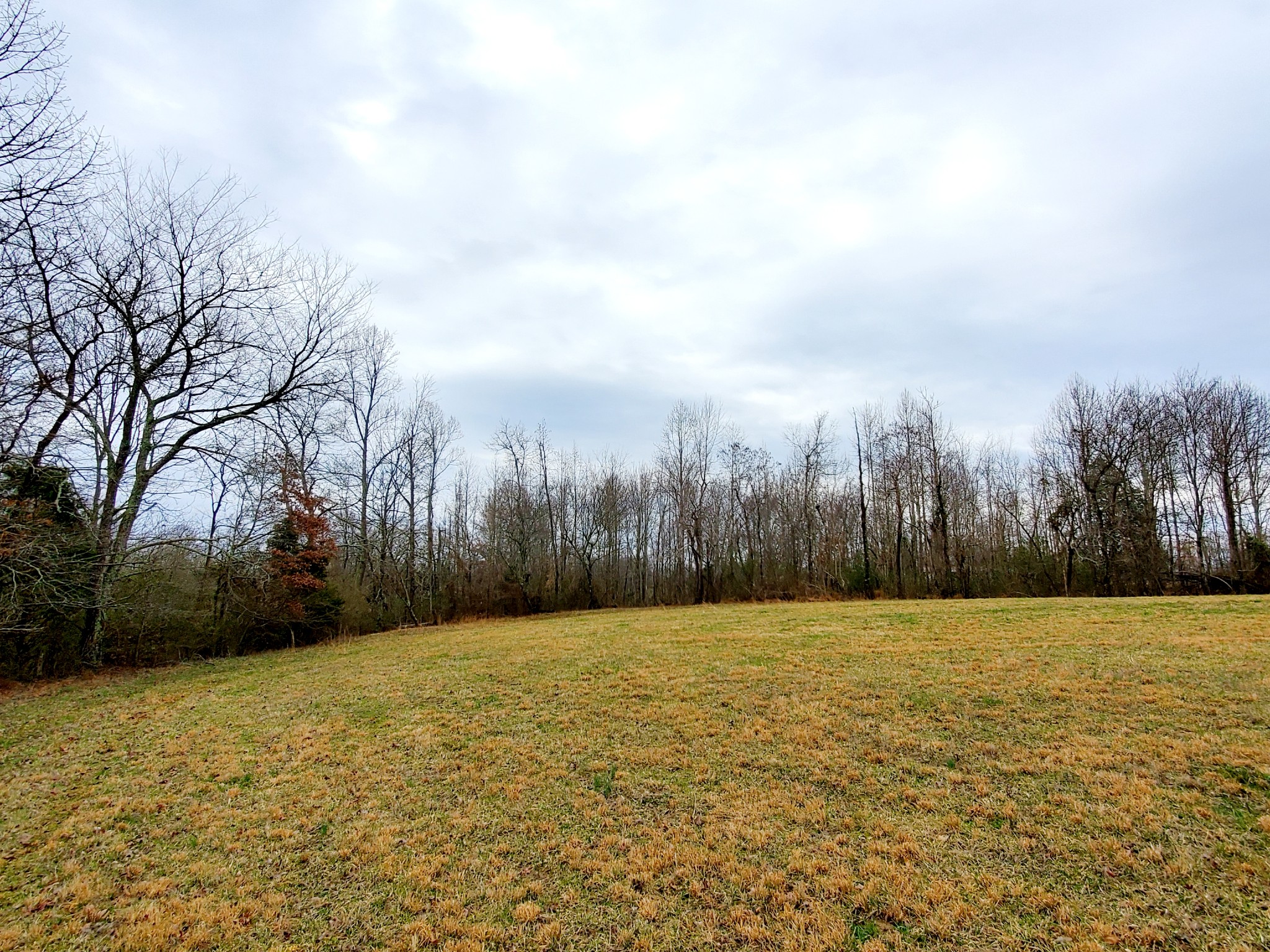 0 Nash Road Baxter, TN 38544 - Photo 19 of 32