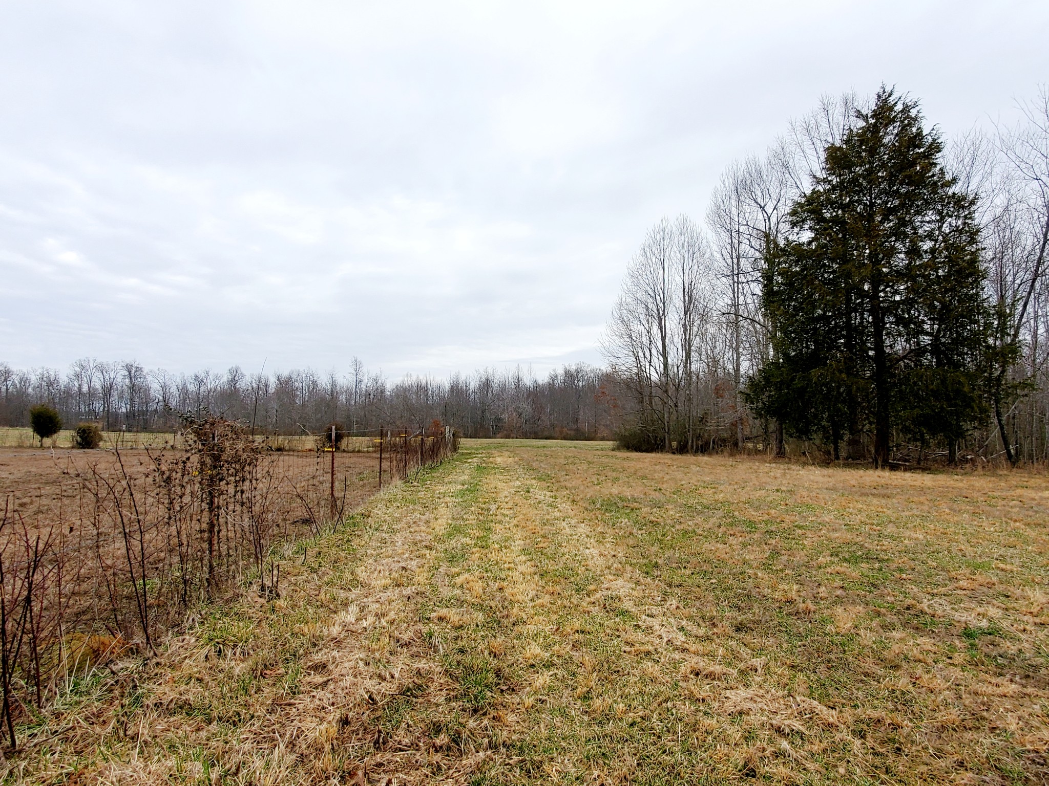 0 Nash Road Baxter, TN 38544 - Photo 3 of 32