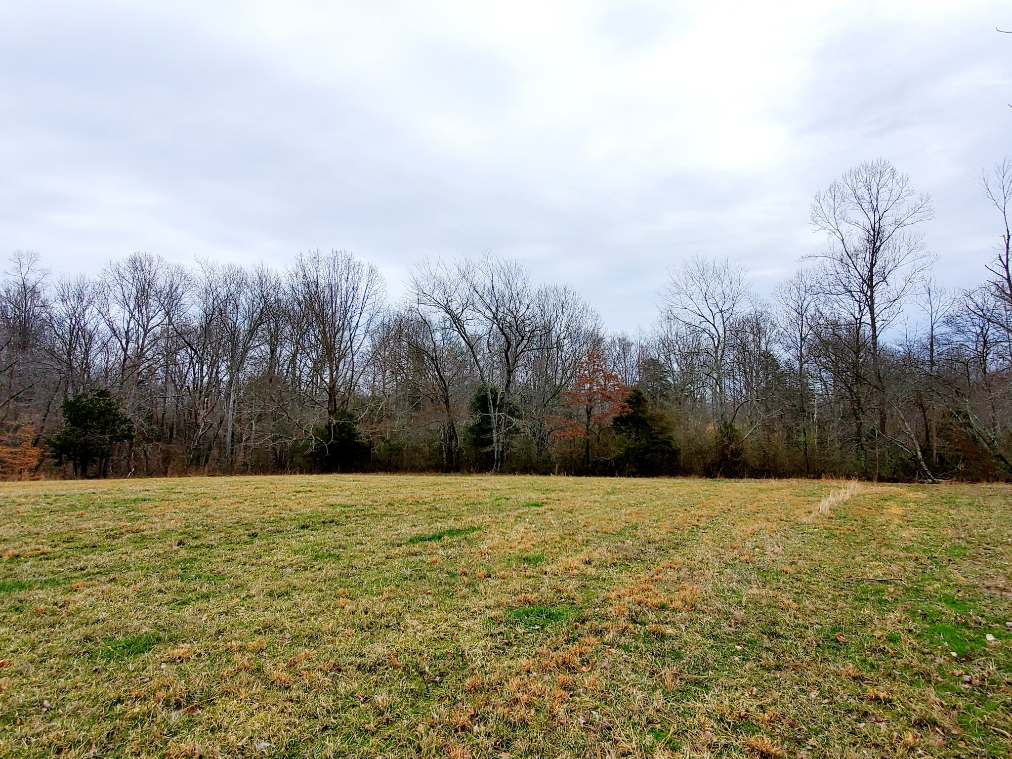 0 Nash Road Baxter, TN 38544 - Photo 23 of 32