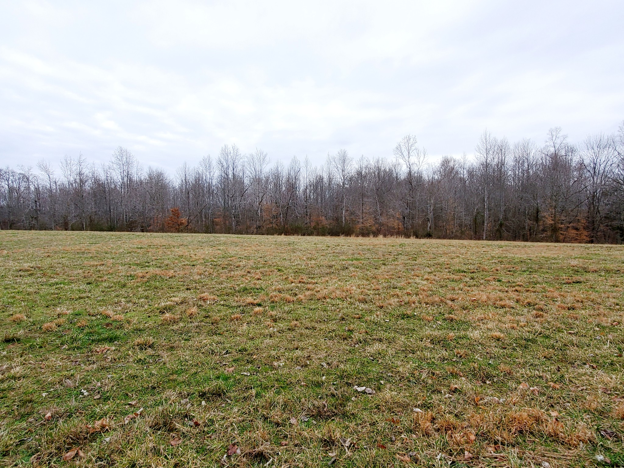 0 Nash Road Baxter, TN 38544 - Photo 24 of 32