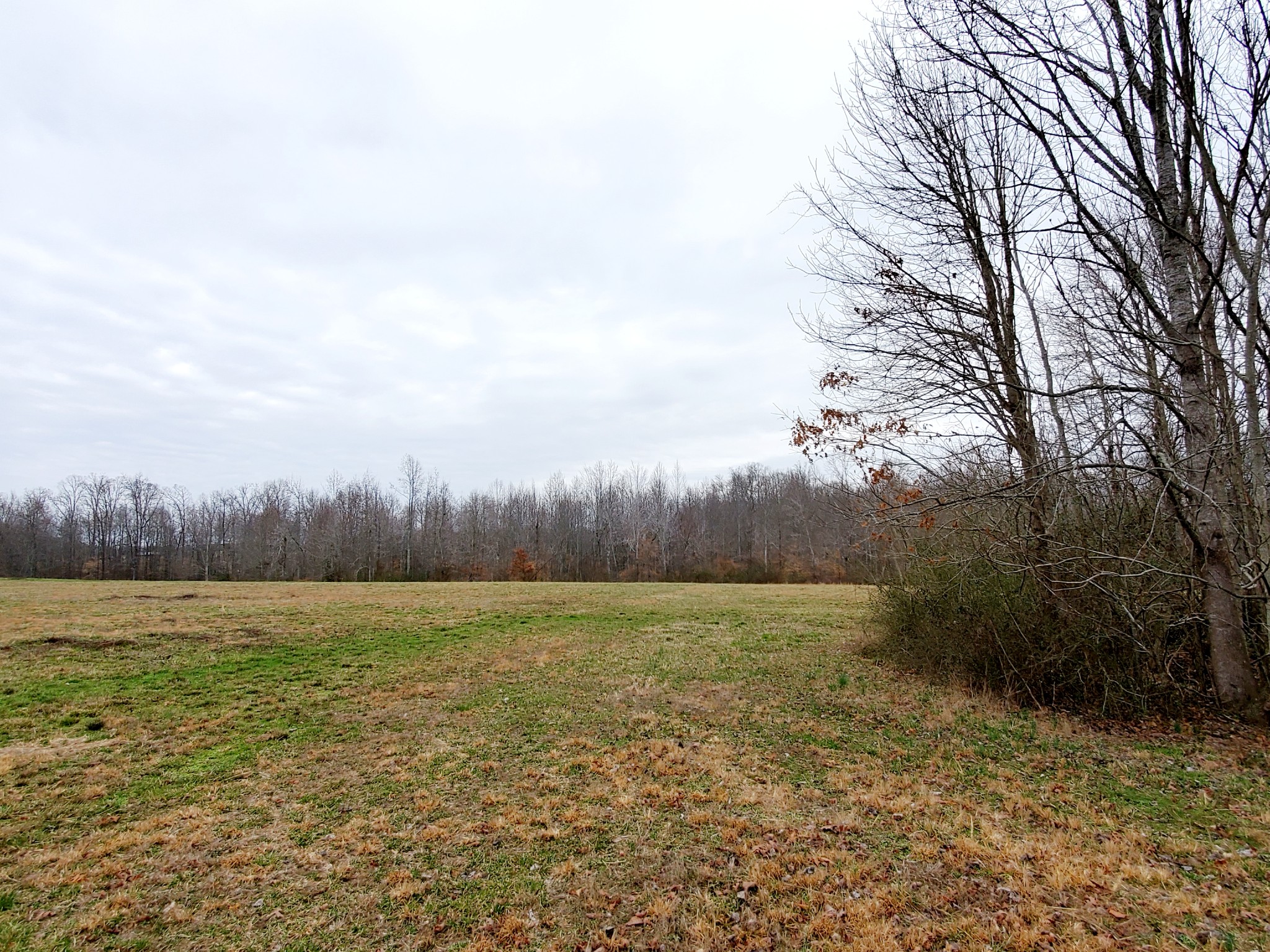 0 Nash Road Baxter, TN 38544 - Photo 26 of 32