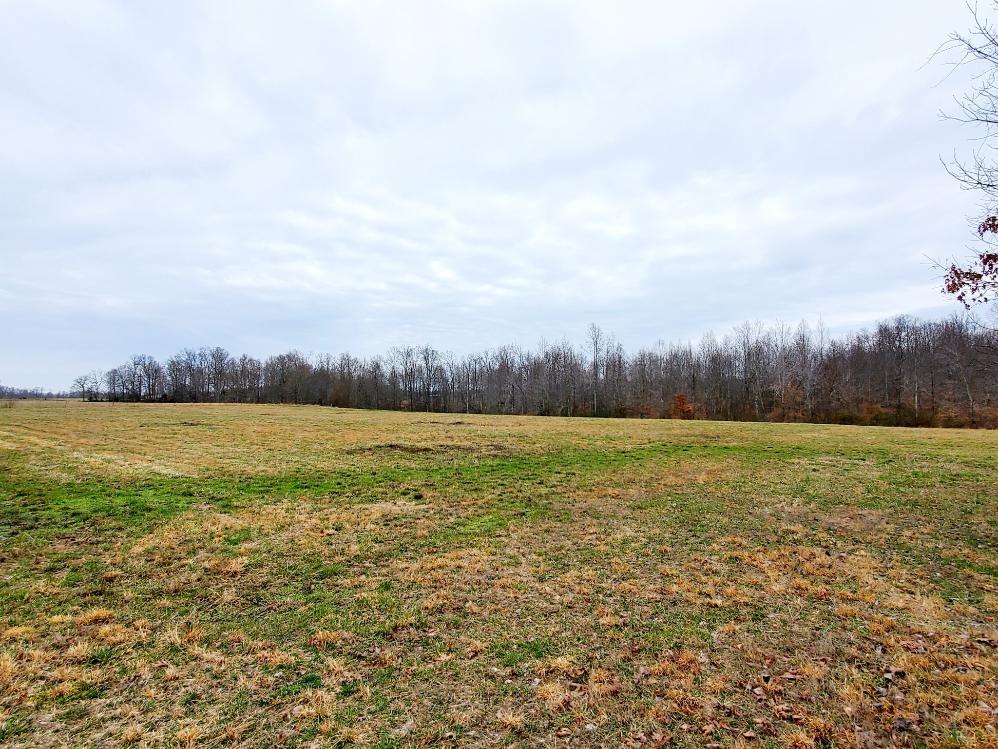 0 Nash Road Baxter, TN 38544 - Photo 27 of 32