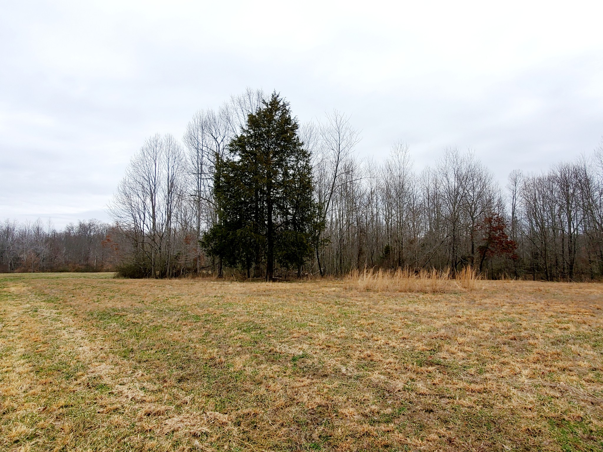 0 Nash Road Baxter, TN 38544 - Photo 28 of 32