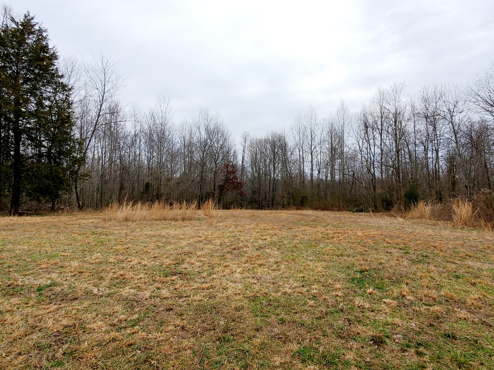 0 Nash Road Baxter, TN 38544 - Photo 29 of 32