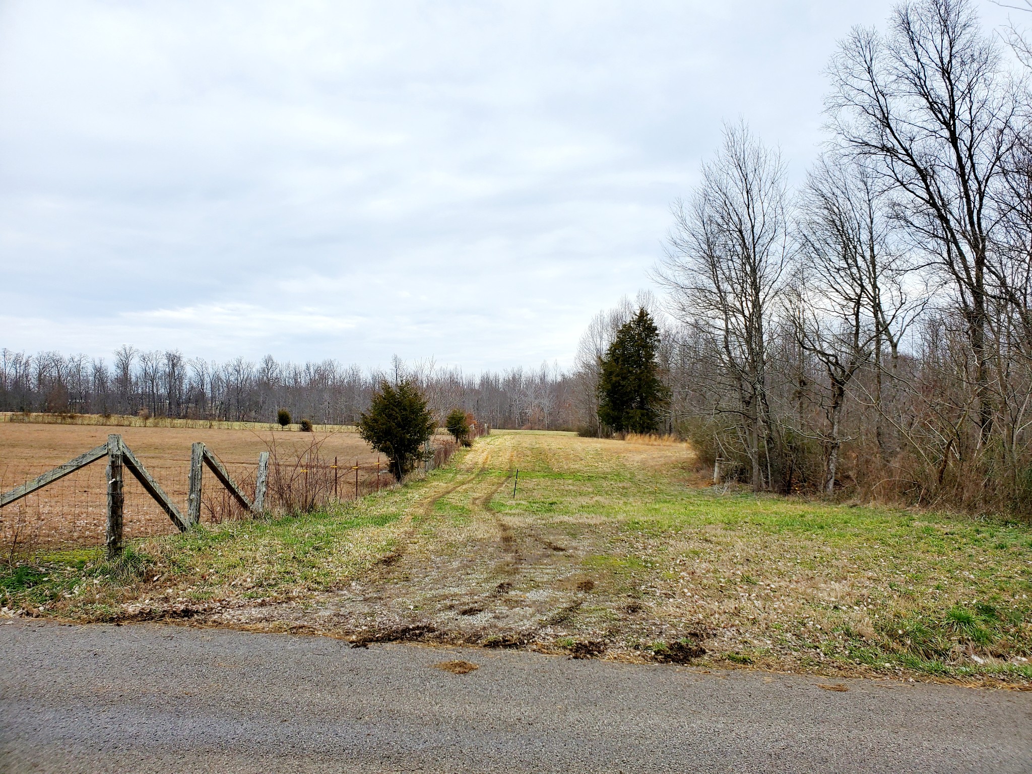 0 Nash Road Baxter, TN 38544 - Photo 31 of 32