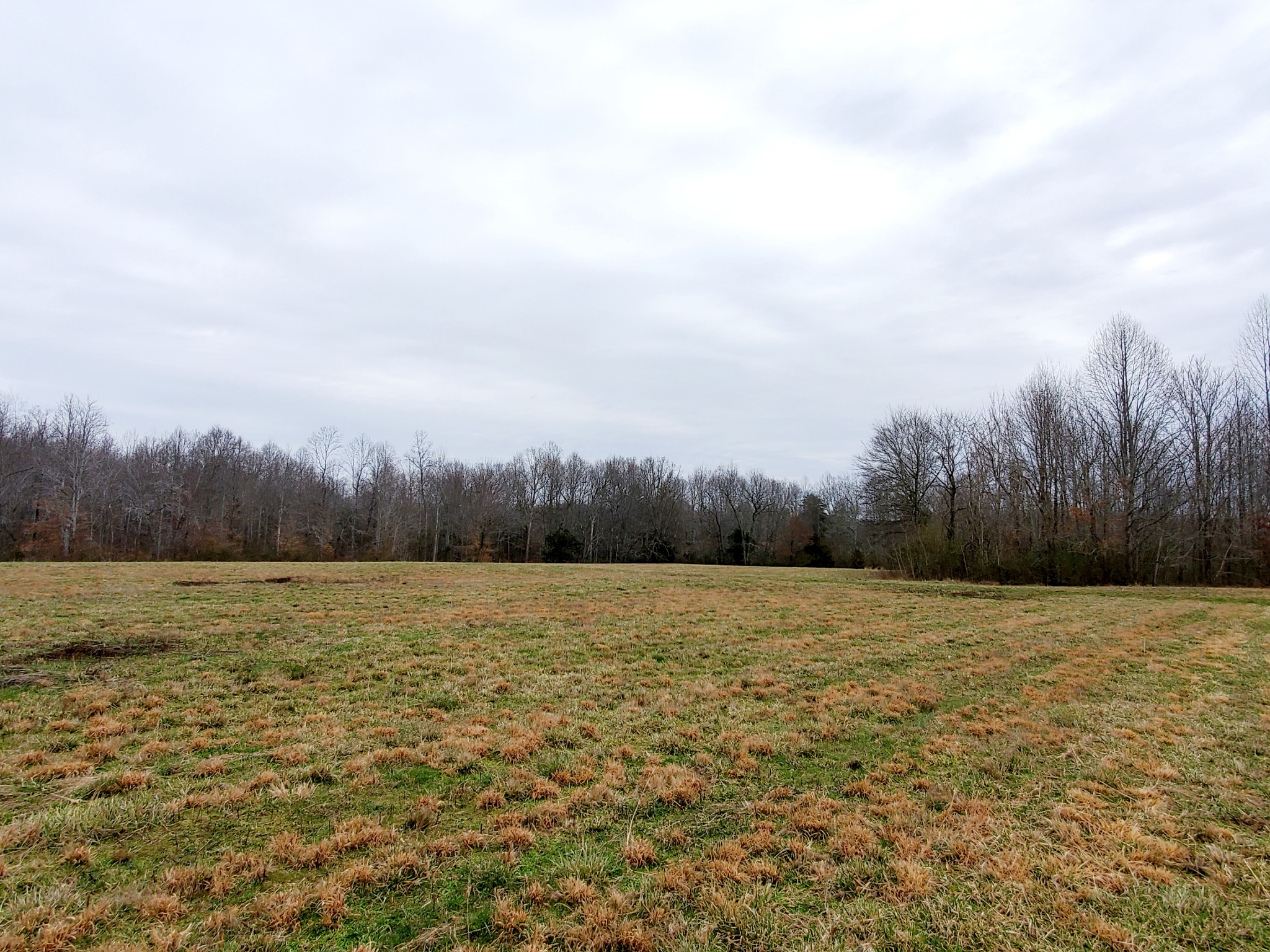 0 Nash Road Baxter, TN 38544 - Photo 5 of 32