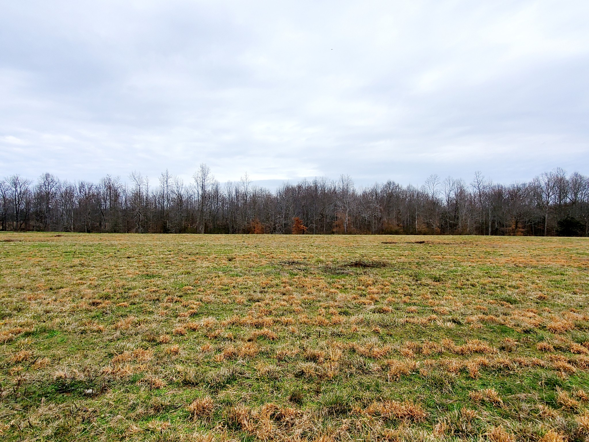 0 Nash Road Baxter, TN 38544 - Photo 6 of 32