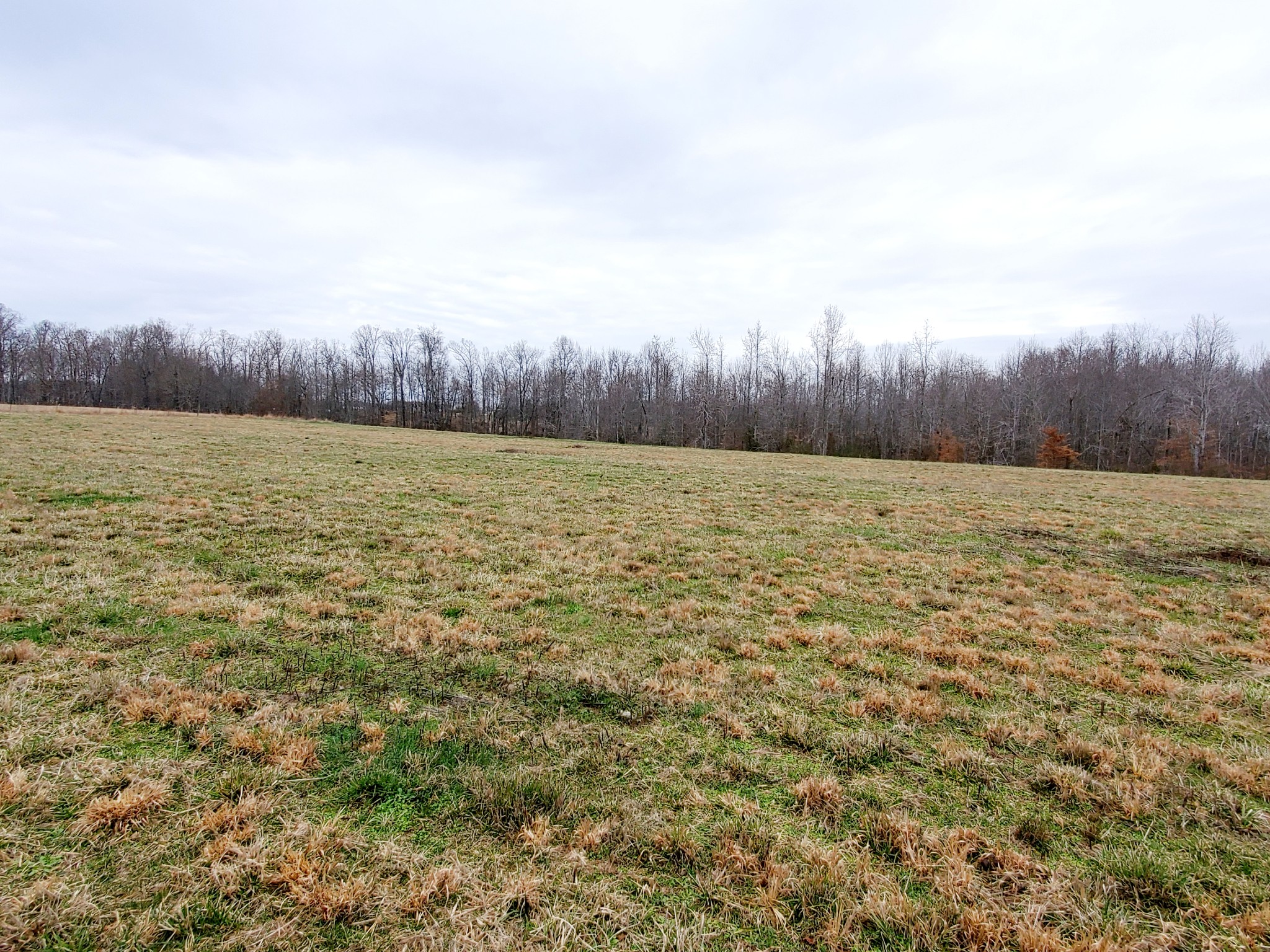 0 Nash Road Baxter, TN 38544 - Photo 7 of 32