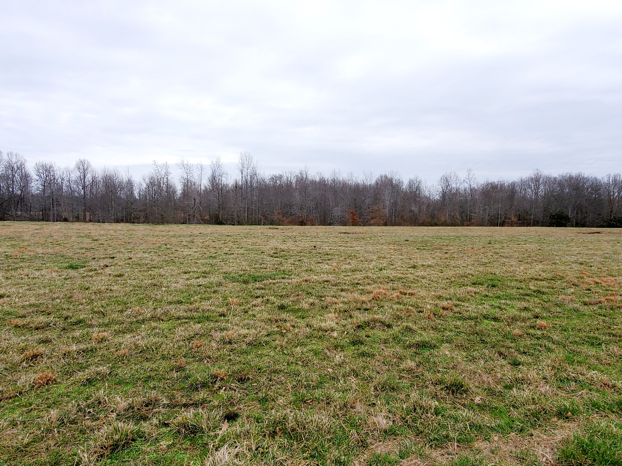 0 Nash Road Baxter, TN 38544 - Photo 8 of 32