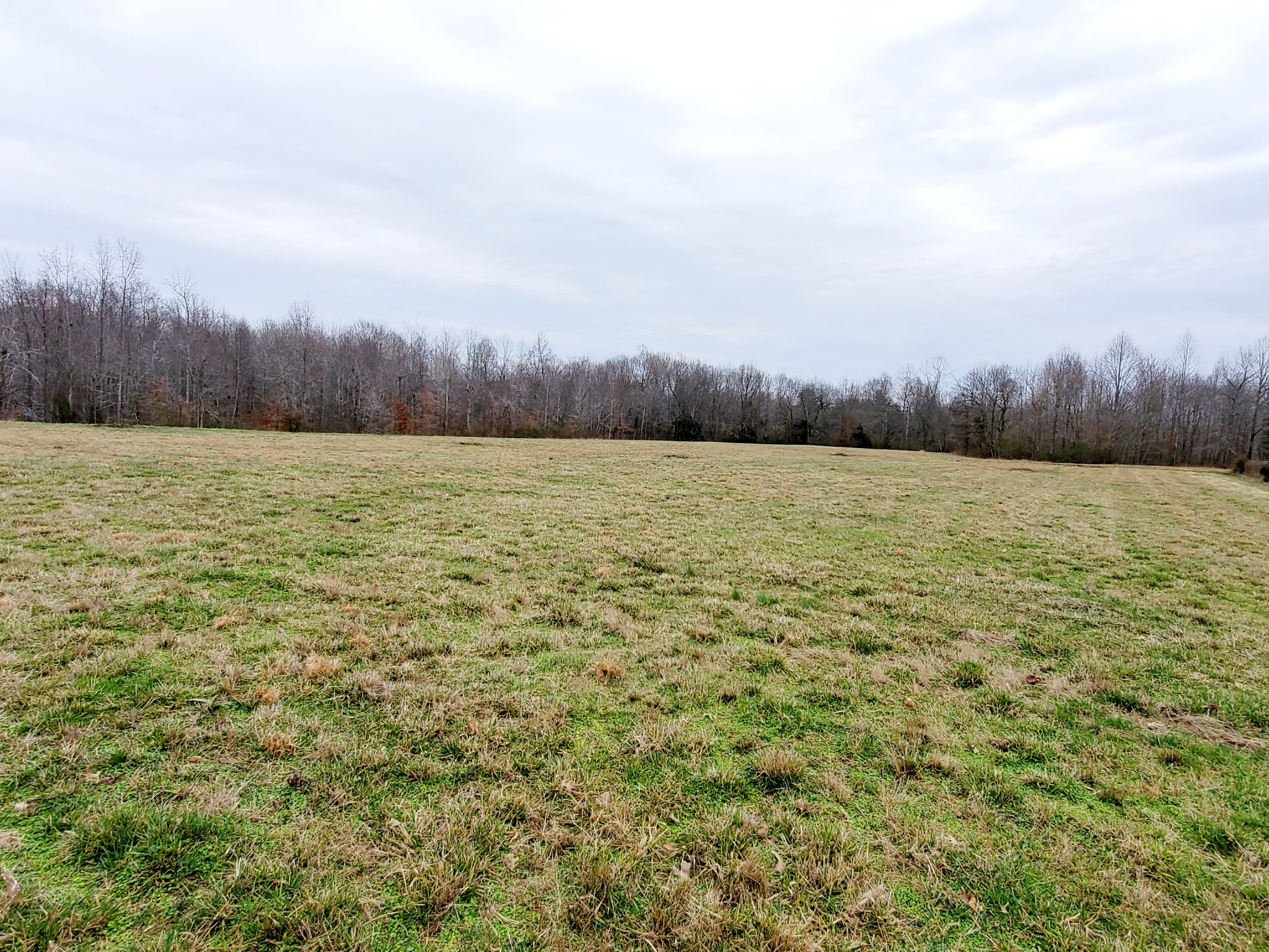 0 Nash Road Baxter, TN 38544 - Photo 9 of 32
