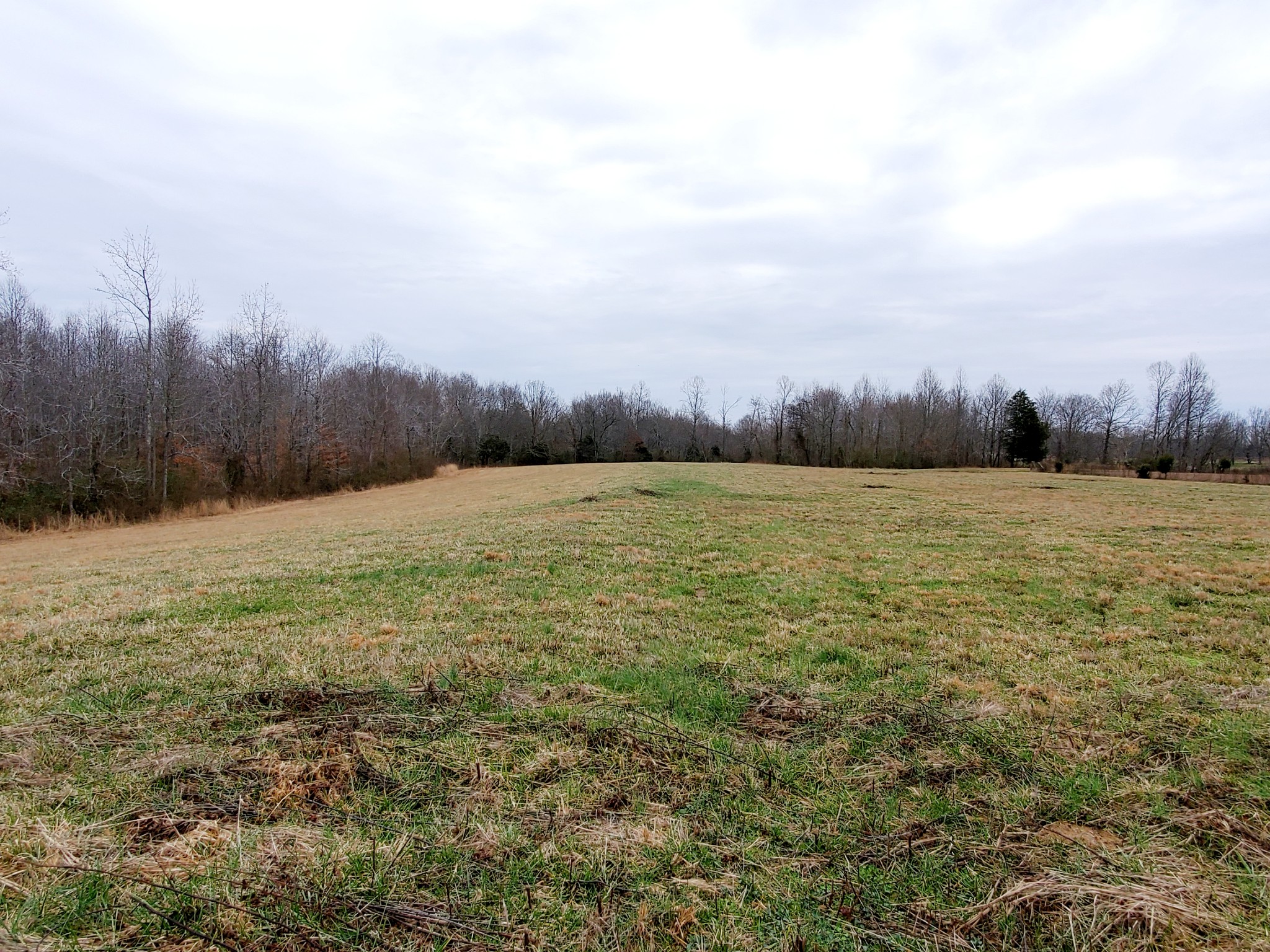 0 Nash Road Baxter, TN 38544 - Photo 10 of 32