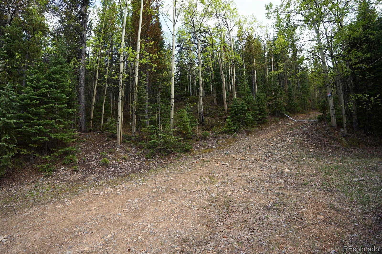 0 Trail Creek Road Idaho Springs, CO 80452 - Photo 8 of 16
