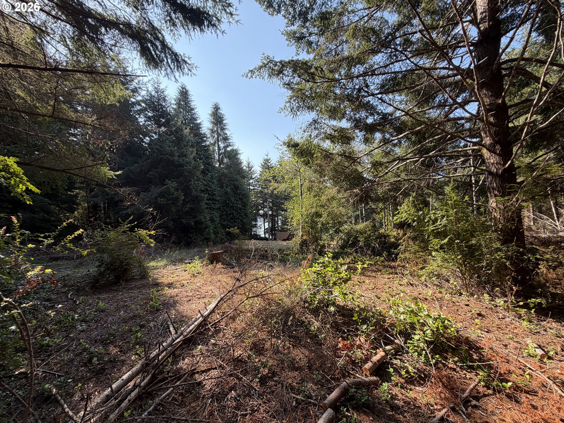 Clear Lake Road Florence, OR 97439 - Photo 21 of 38 Gallery Image 21